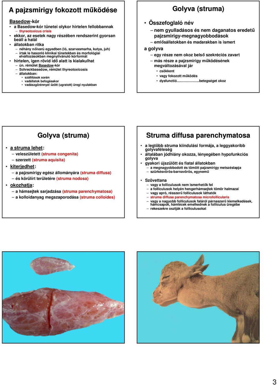 rémület Basedow-kór Schreckbasedow, rémület thyreotoxicosis állatokban: szállítások során vadállatok befogásakor vadászgörénnyel őzött (ugratott) üregi nyulakban Golyva (struma) Összefoglaló név nem