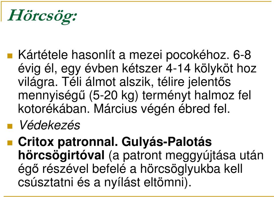 Téli álmot alszik, télire jelentıs mennyiségő (5-20 kg) terményt halmoz fel kotorékában.