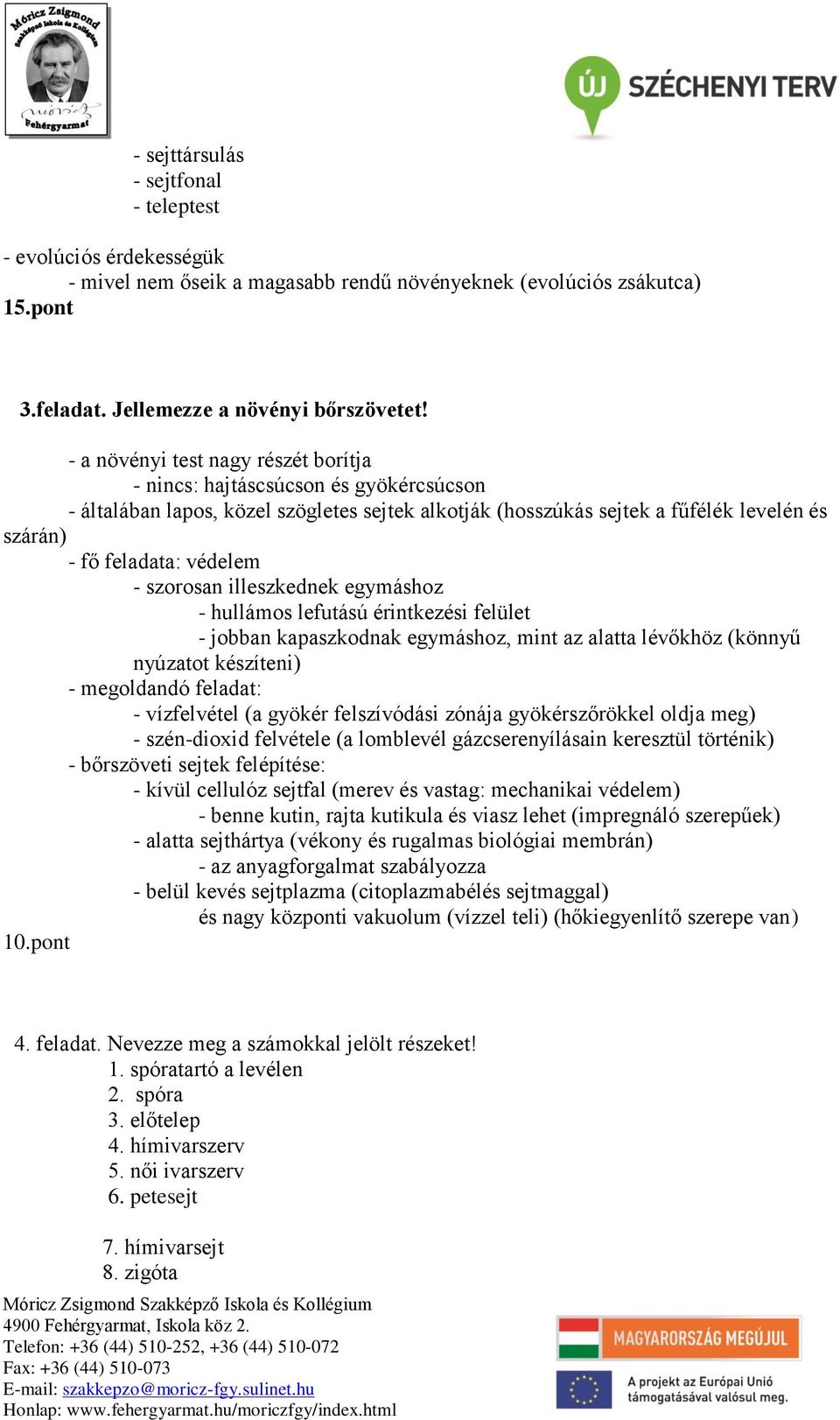 szorosan illeszkednek egymáshoz - hullámos lefutású érintkezési felület - jobban kapaszkodnak egymáshoz, mint az alatta lévőkhöz (könnyű nyúzatot készíteni) - megoldandó feladat: - vízfelvétel (a