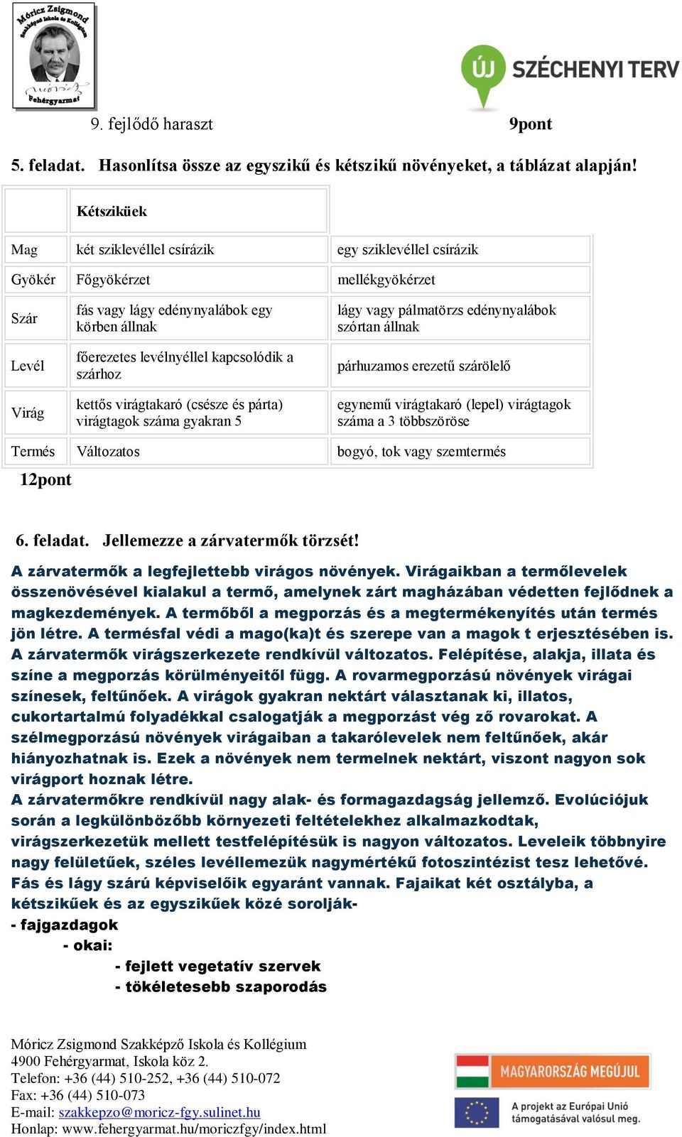 kapcsolódik a szárhoz kettős virágtakaró (csésze és párta) virágtagok száma gyakran 5 lágy vagy pálmatörzs edénynyalábok szórtan állnak párhuzamos erezetű szárölelő egynemű virágtakaró (lepel)