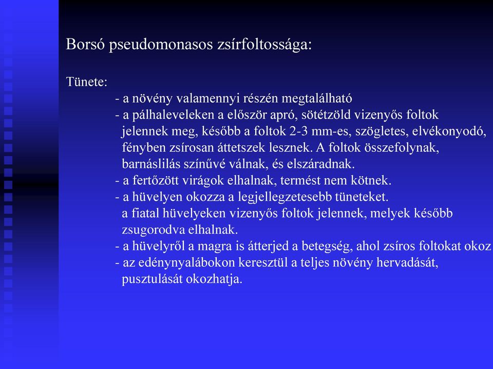 - a fertőzött virágok elhalnak, termést nem kötnek. - a hüvelyen okozza a legjellegzetesebb tüneteket.