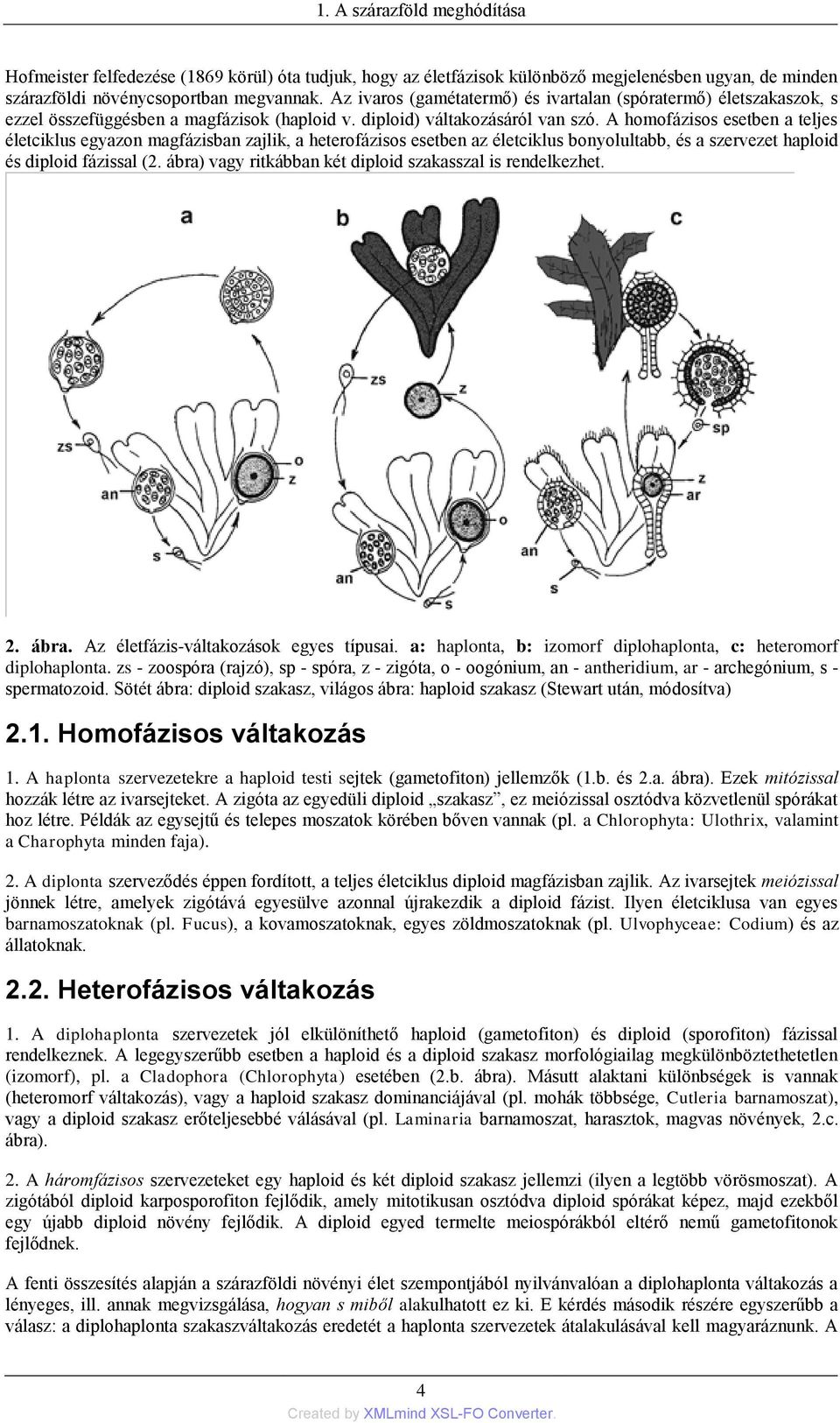 A homofázisos esetben a teljes életciklus egyazon magfázisban zajlik, a heterofázisos esetben az életciklus bonyolultabb, és a szervezet haploid és diploid fázissal (2.