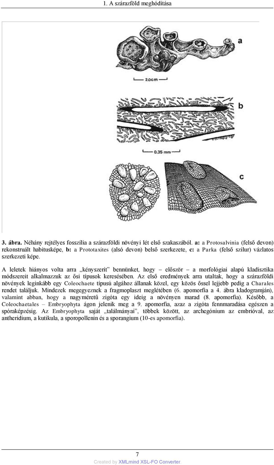 A leletek hiányos volta arra kényszerít bennünket, hogy először a morfológiai alapú kladisztika módszereit alkalmazzuk az ősi típusok keresésében.