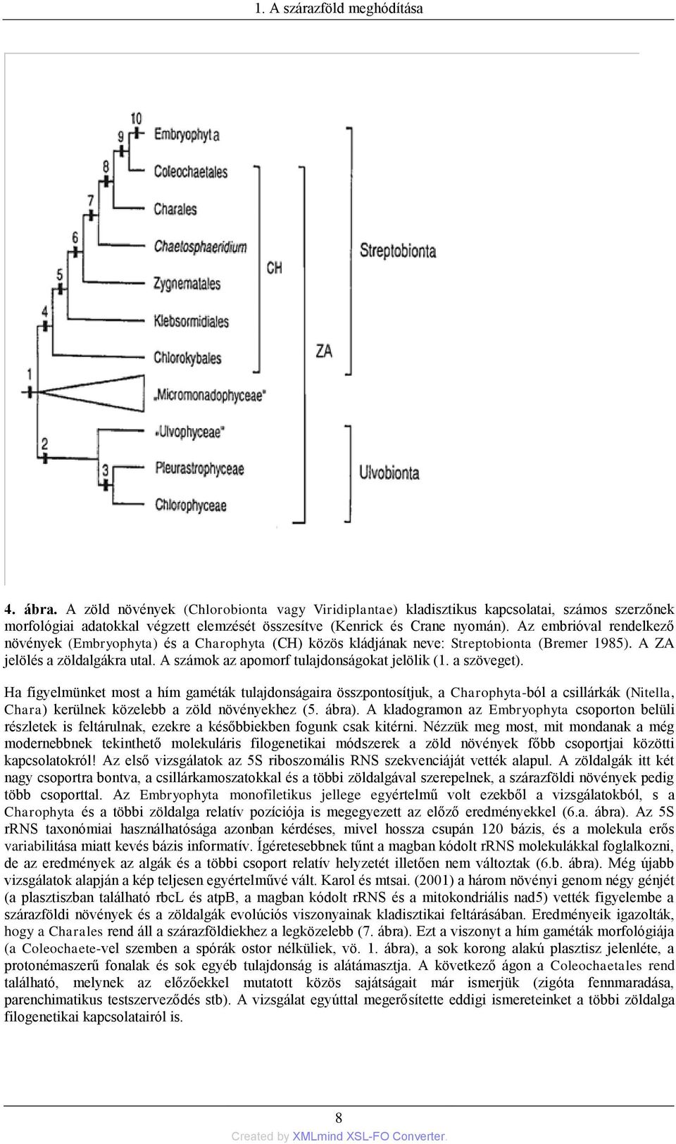 Az embrióval rendelkező növények (Embryophyta) és a Charophyta (CH) közös kládjának neve: Streptobionta (Bremer 1985). A ZA jelölés a zöldalgákra utal. A számok az apomorf tulajdonságokat jelölik (1.