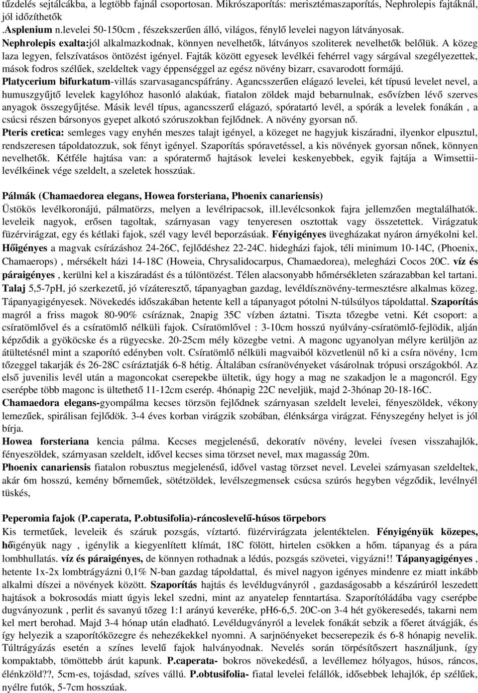 A közeg laza legyen, felszívatásos öntözést igényel.