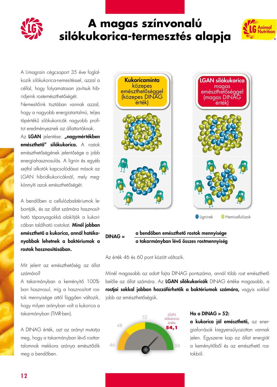 Nemesítőink tisztában vannak azzal, LGAN silókukorica magas emészthetőséggel (magas DINAG érték) hogy a nagyobb energiatartalmú, teljes tápértékű silókukoricák nagyobb profitot eredményeznek az