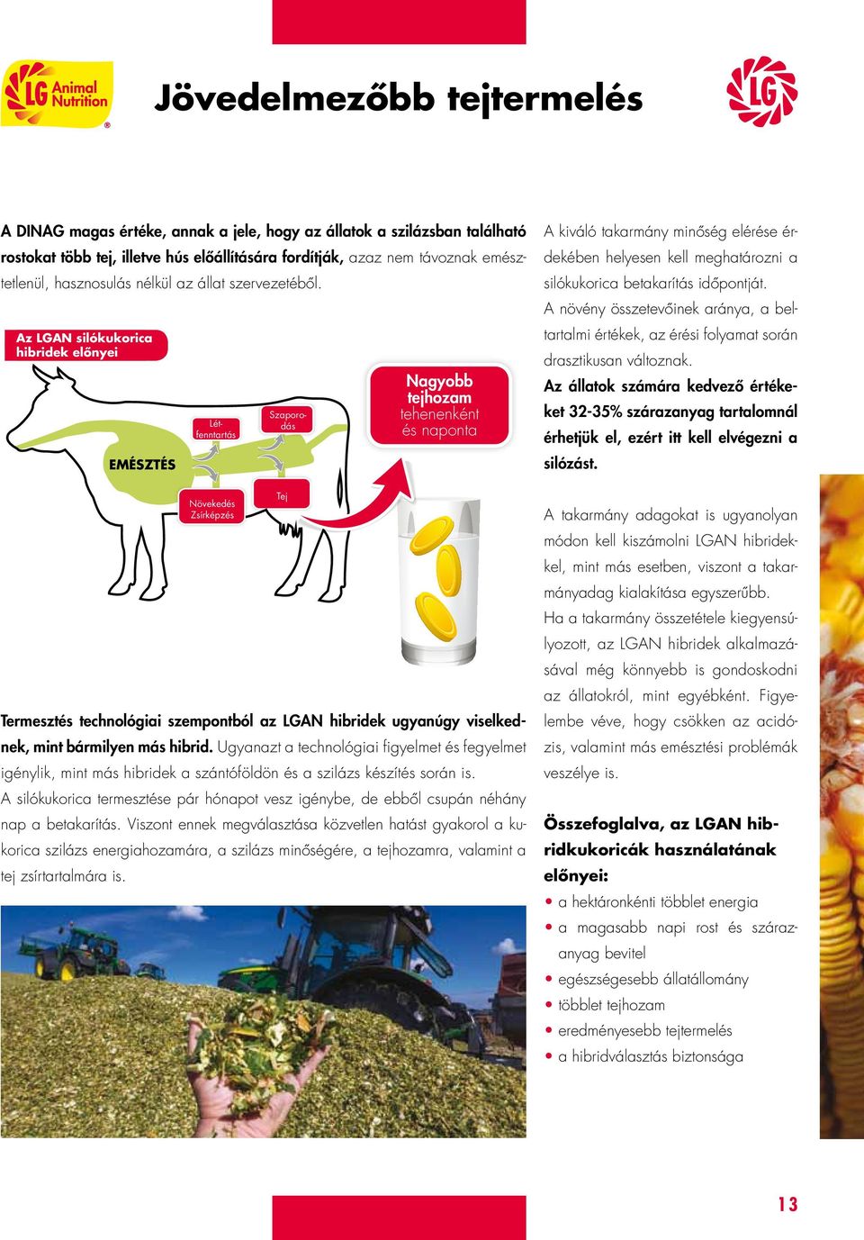 Az LGAN silókukorica hibridek előnyei EMÉSZTÉS Létfenntartás Növekedés Zsírképzés Szaporodás Tej Nagyobb tejhozam tehenenként és naponta Termesztés technológiai szempontból az LGAN hibridek ugyanúgy