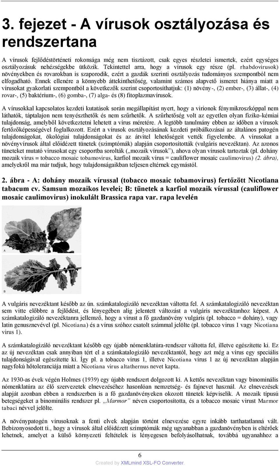 Ennek ellenére a könnyebb áttekinthetőség, valamint számos alapvető ismeret hiánya miatt a vírusokat gyakorlati szempontból a következők szerint csoportosíthatjuk: (1) növény-, (2) ember-, (3)