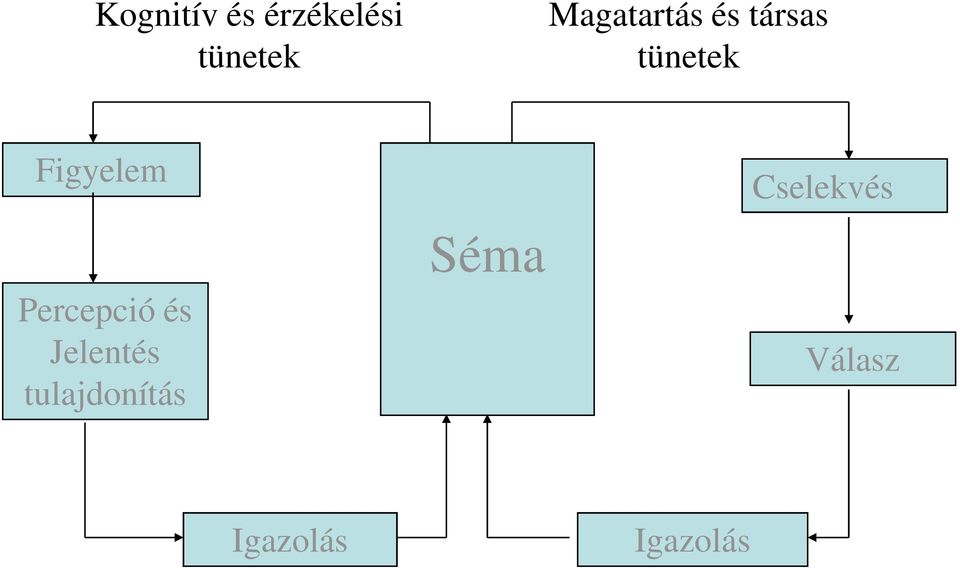 Figyelem Percepció és Jelentés