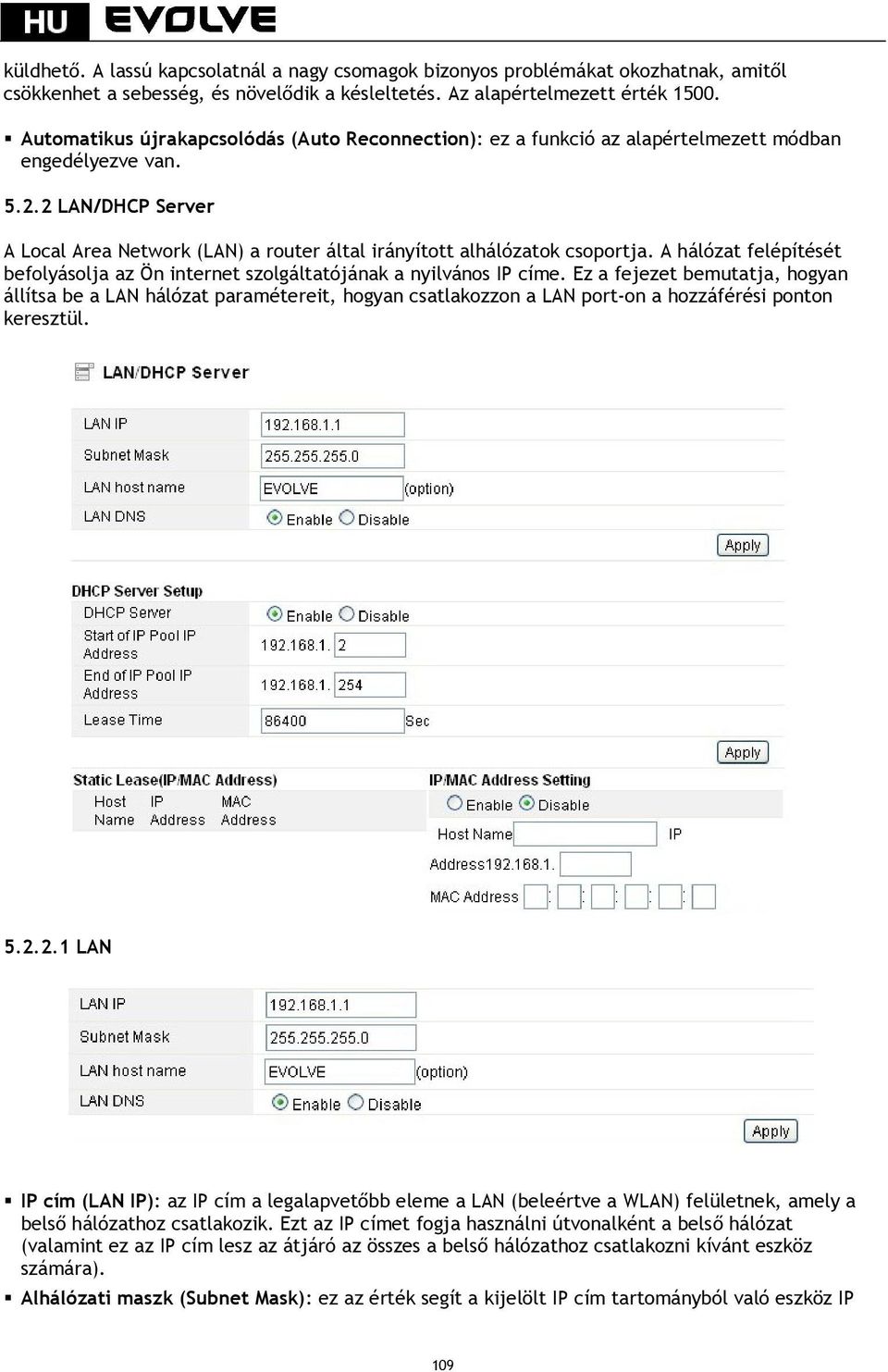 2 LAN/DHCP Server A Local Area Network (LAN) a router által irányított alhálózatok csoportja. A hálózat felépítését befolyásolja az Ön internet szolgáltatójának a nyilvános IP címe.