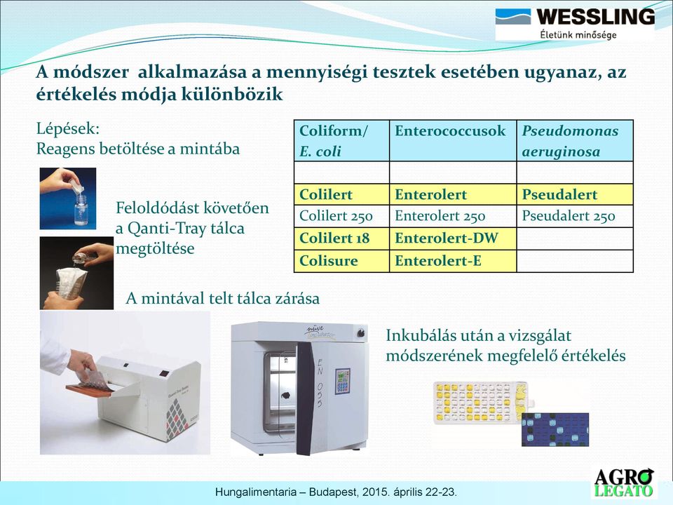 coli Enterococcusok Pseudomonas aeruginosa Feloldódást követően a Qanti-Tray tálca megtöltése Colilert