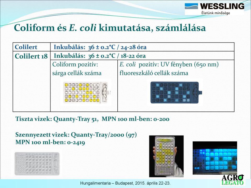 2 C / 18-22 óra Coliform pozitív: sárga cellák száma E.