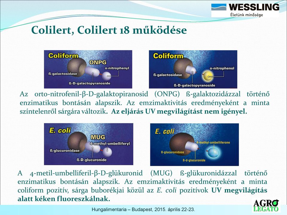 Az eljárás UV megvilágítást nem igényel.