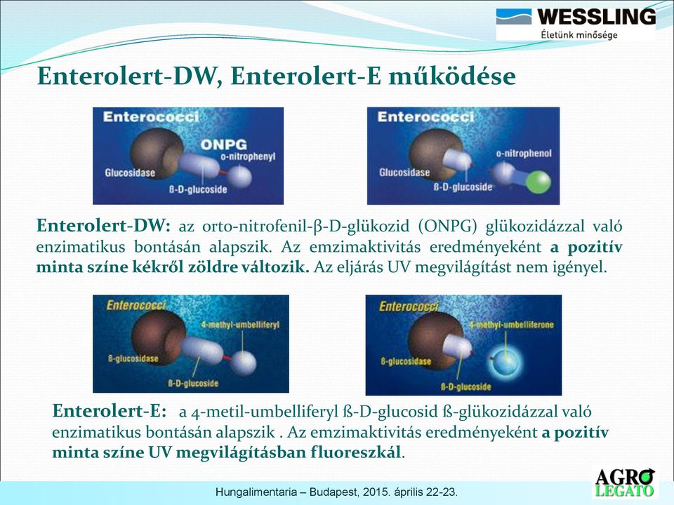 Az eljárás UV megvilágítást nem igényel.
