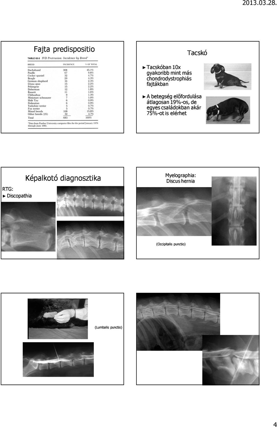 75%-ot is elérhet RTG: Discopathia Képalkotó diagnosztika Myelographia: Discus