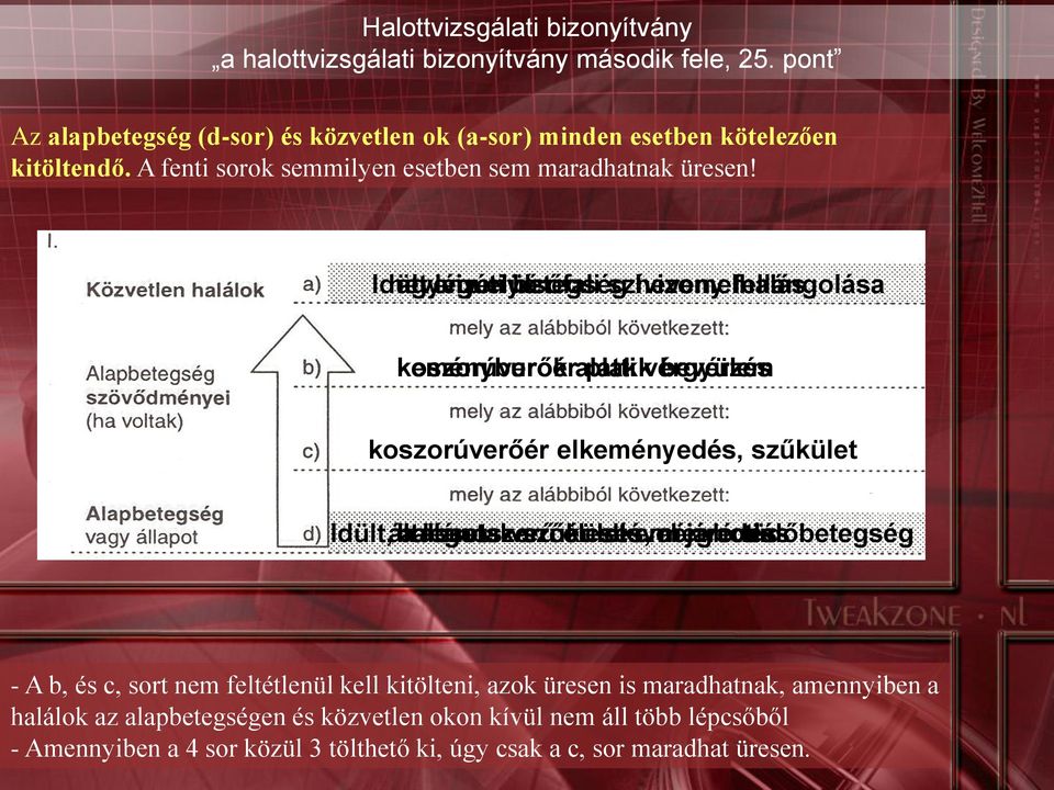 Idült heveny agyvizenyő légúti elülsőfali betegség szívizomelhalás heveny fellángolása koszorúverőér keményburok alatti plakk vérgyülem bevérzés koszorúverőér elkeményedés, szűkület