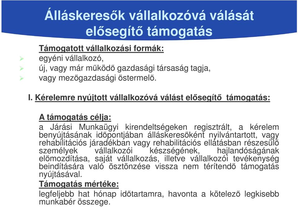 nyilvántartott, vagy rehabilitációs járadékban vagy rehabilitációs ellátásban részesülő személyek vállalkozói készségének, hajlandóságának előmozdítása, saját vállalkozás, illetve