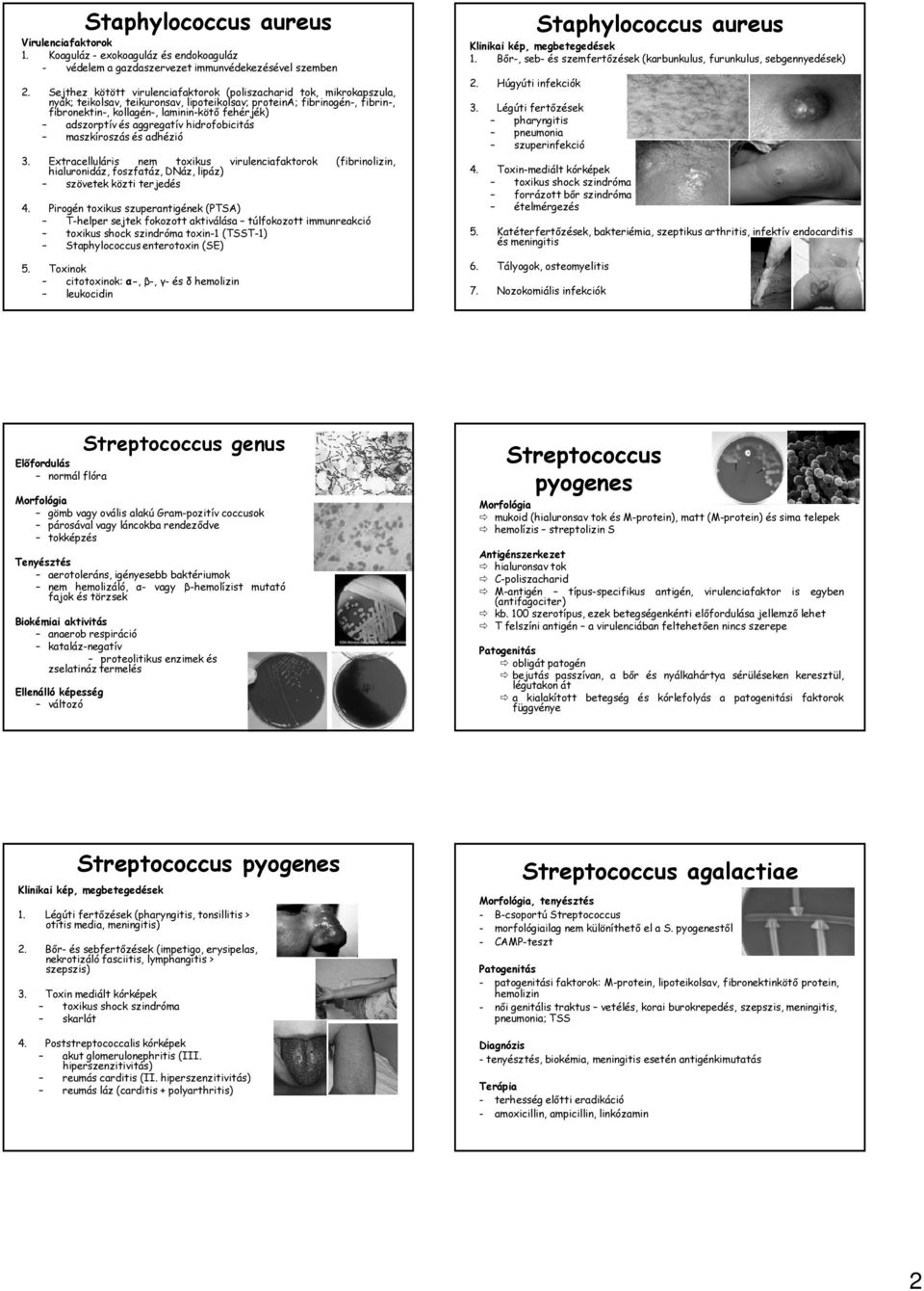 adszorptív és aggregatív hidrofobicitás maszkíroszás és adhézió 3. Extracelluláris nem toxikus virulenciafaktorok (fibrinolizin, hialuronidáz, foszfatáz, DNáz, lipáz) szövetek közti terjedés 4.