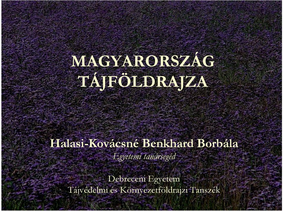 Egyetemi tanársegéd Debreceni
