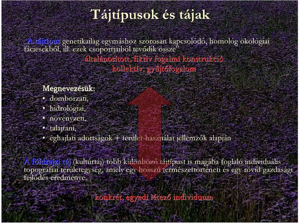 hidrológiai, növényzeti, talajtani, éghajlati adottságok + terület-használat jellemzők alapján A földrajzi f táj t (kultúrtáj) több különböző