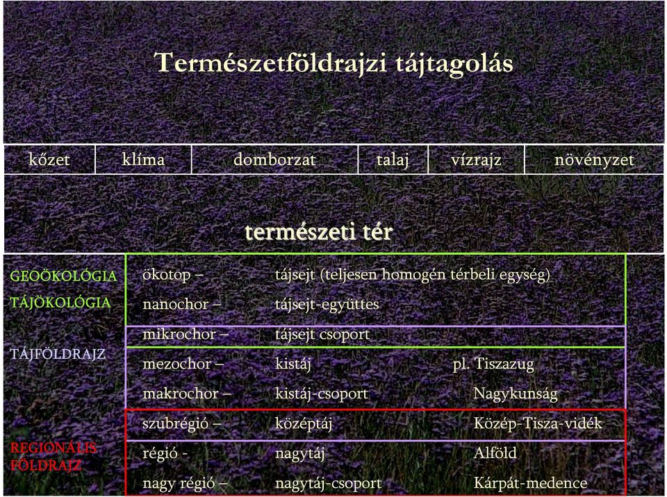 tájsejt-együttes mikrochor tájsejt csoport mezochor kistáj pl.