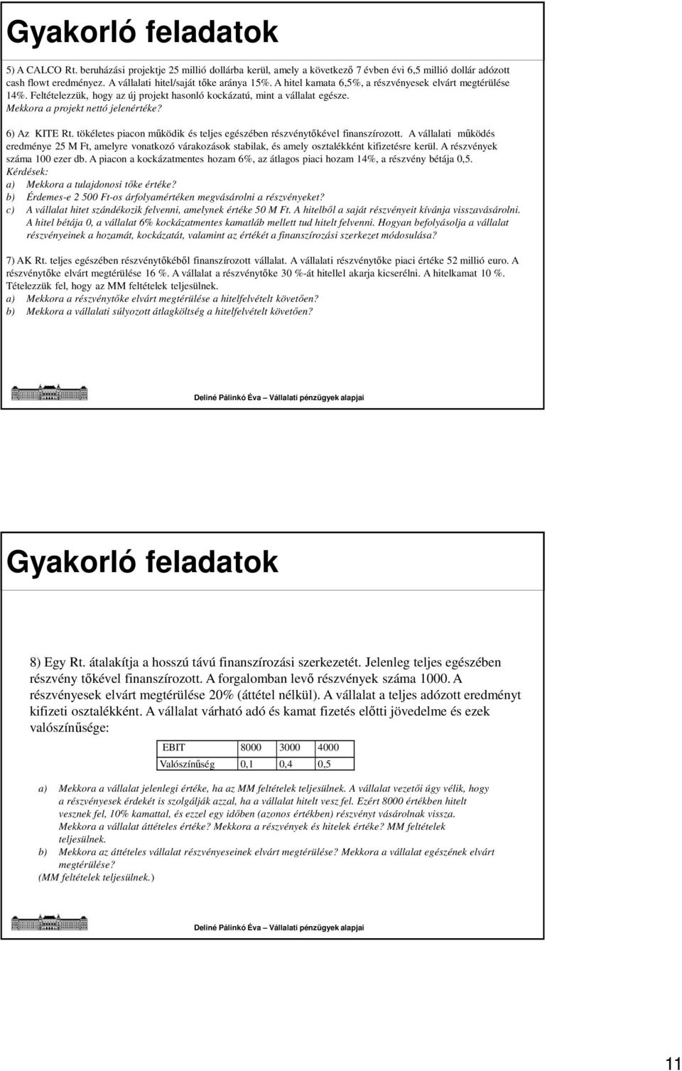 tökéletes piacon működik és teljes egészében részvénytőkével finanszírozott. A vállalati működés eredménye 25 M Ft, amelyre vonatkozó várakozások stabilak, és amely osztalékként kifizetésre kerül.