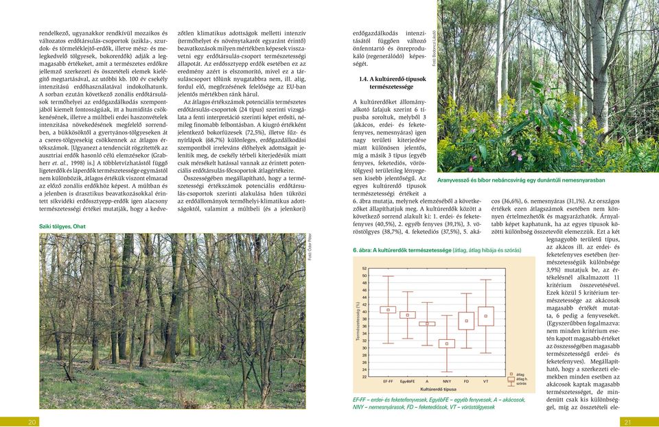 A sorban ezután következő zonális erdőtársulások termőhelyei az erdőgazdálkodás szempontjából kiemelt fontosságúak, itt a humiditás csökkenésének, illetve a múltbeli erdei haszonvételek intenzitása