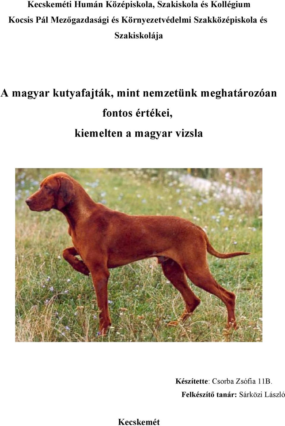 kutyafajták, mint nemzetünk meghatározóan fontos értékei, kiemelten a