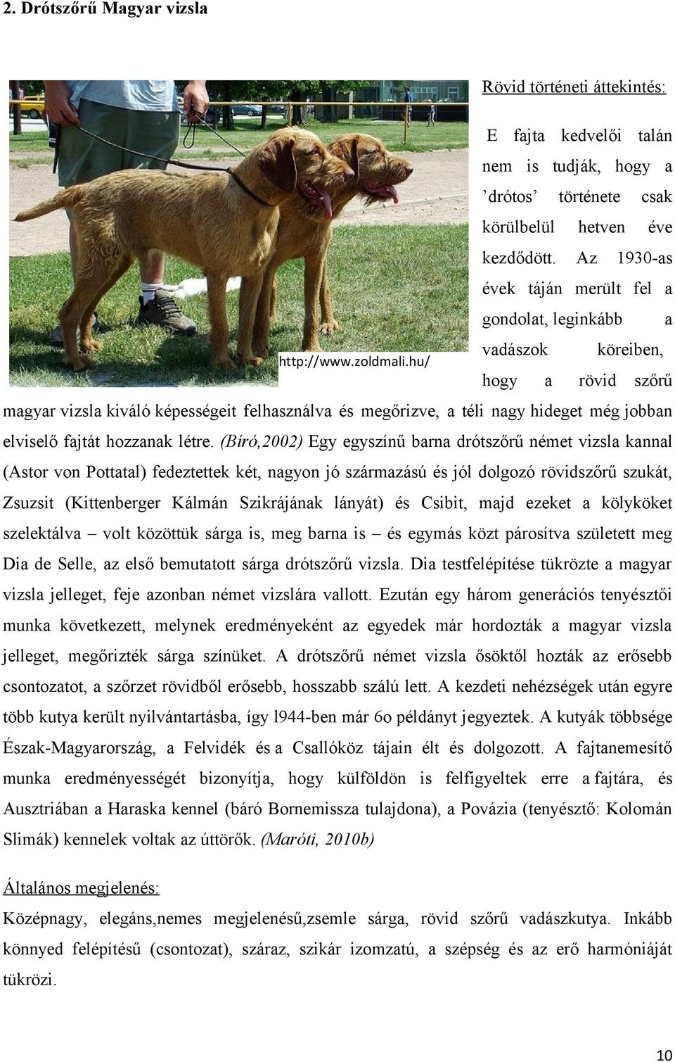 hu/ vadászok hogy a a köreiben, rövid szőrű magyar vizsla kiváló képességeit felhasználva és megőrizve, a téli nagy hideget még jobban elviselő fajtát hozzanak létre.