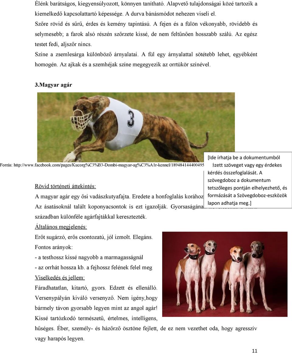 Az egész testet fedi, aljszőr nincs. Színe a zsemlesárga különböző árnyalatai. A fül egy árnyalattal sötétebb lehet, egyébként homogén. Az ajkak és a szemhéjak színe megegyezik az orrtükör színével.