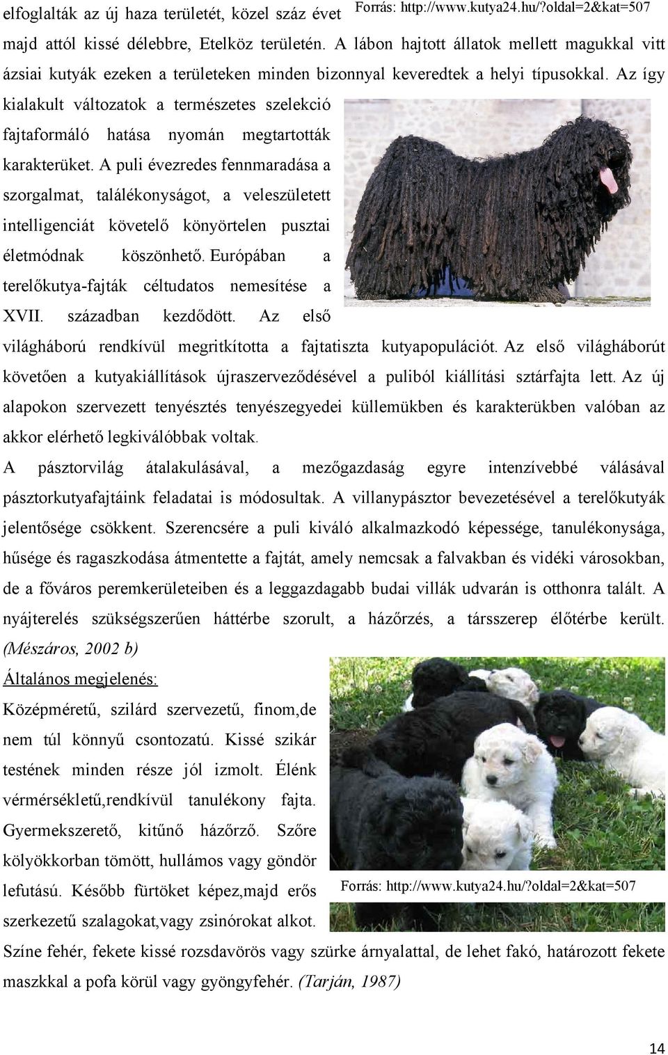 Az így kialakult változatok a természetes szelekció fajtaformáló hatása nyomán megtartották karakterüket.