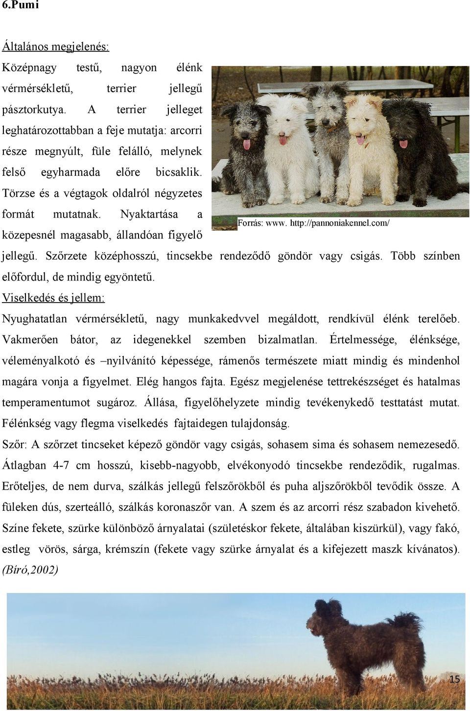 Törzse és a végtagok oldalról négyzetes formát mutatnak. Nyaktartása a Forrás: www. http://pannoniakennel.com/ közepesnél magasabb, állandóan figyelő jellegű.