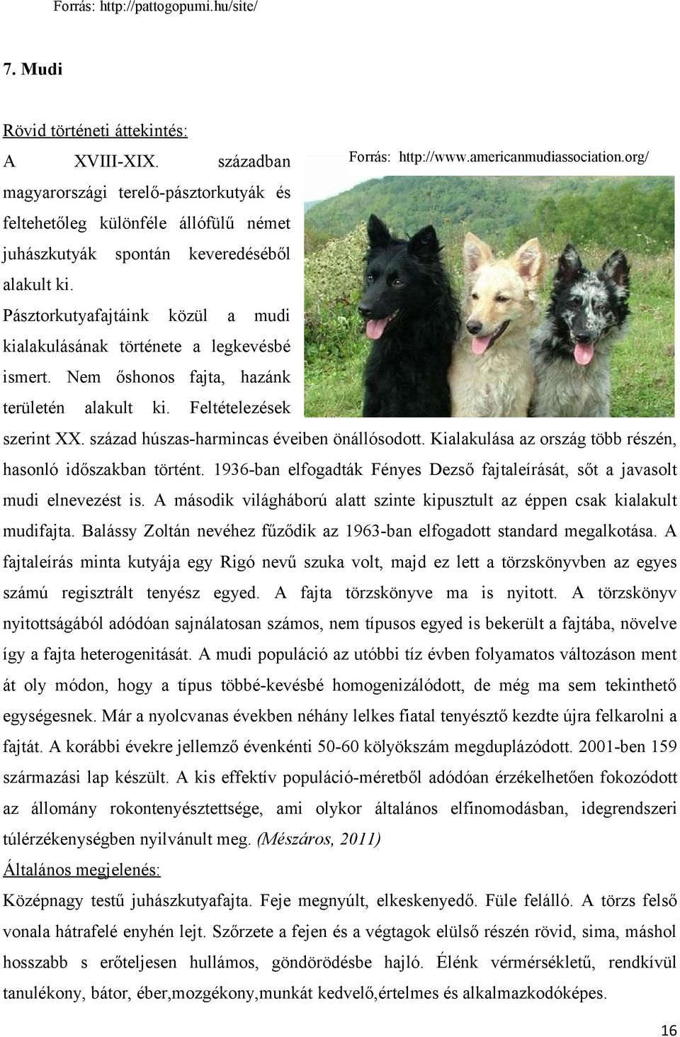 Pásztorkutyafajtáink közül a mudi kialakulásának története a legkevésbé ismert. Nem őshonos fajta, hazánk területén alakult ki. Feltételezések szerint XX. század húszas-harmincas éveiben önállósodott.