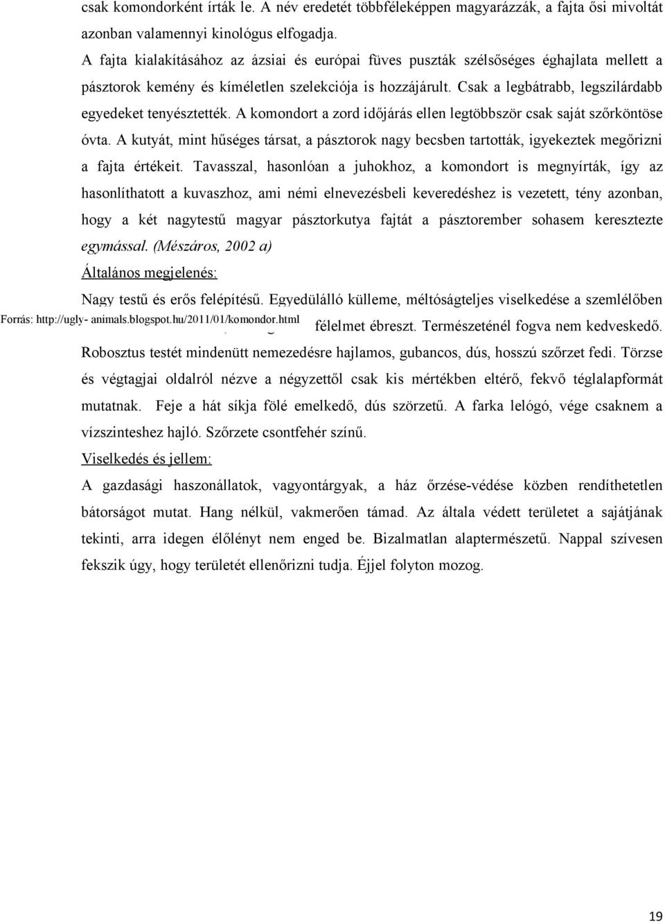 Csak a legbátrabb, legszilárdabb egyedeket tenyésztették. A komondort a zord időjárás ellen legtöbbször csak saját szőrköntöse óvta.