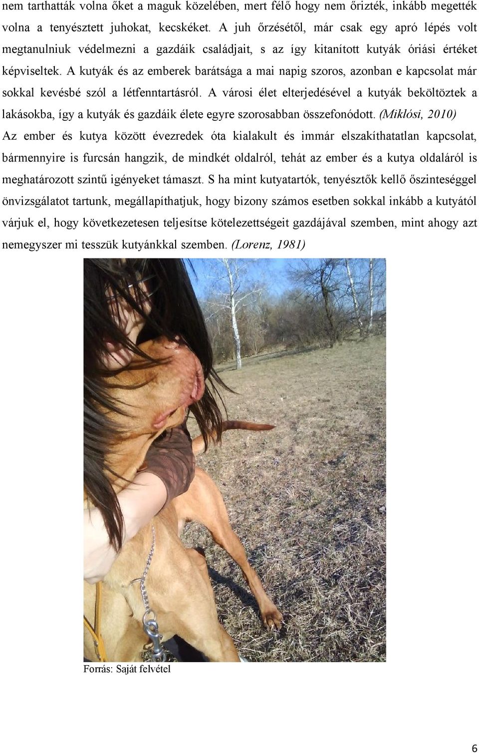 A kutyák és az emberek barátsága a mai napig szoros, azonban e kapcsolat már sokkal kevésbé szól a létfenntartásról.