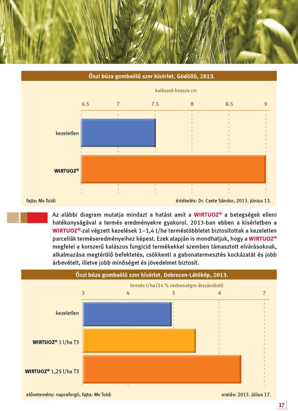 2013-ban ebben a kísérletben a Wirtuoz -zal végzett kezelések 1 1,4 t/ha terméstöbbletet biztosítottak a kezeletlen parcellák terméseredményeihez képest.