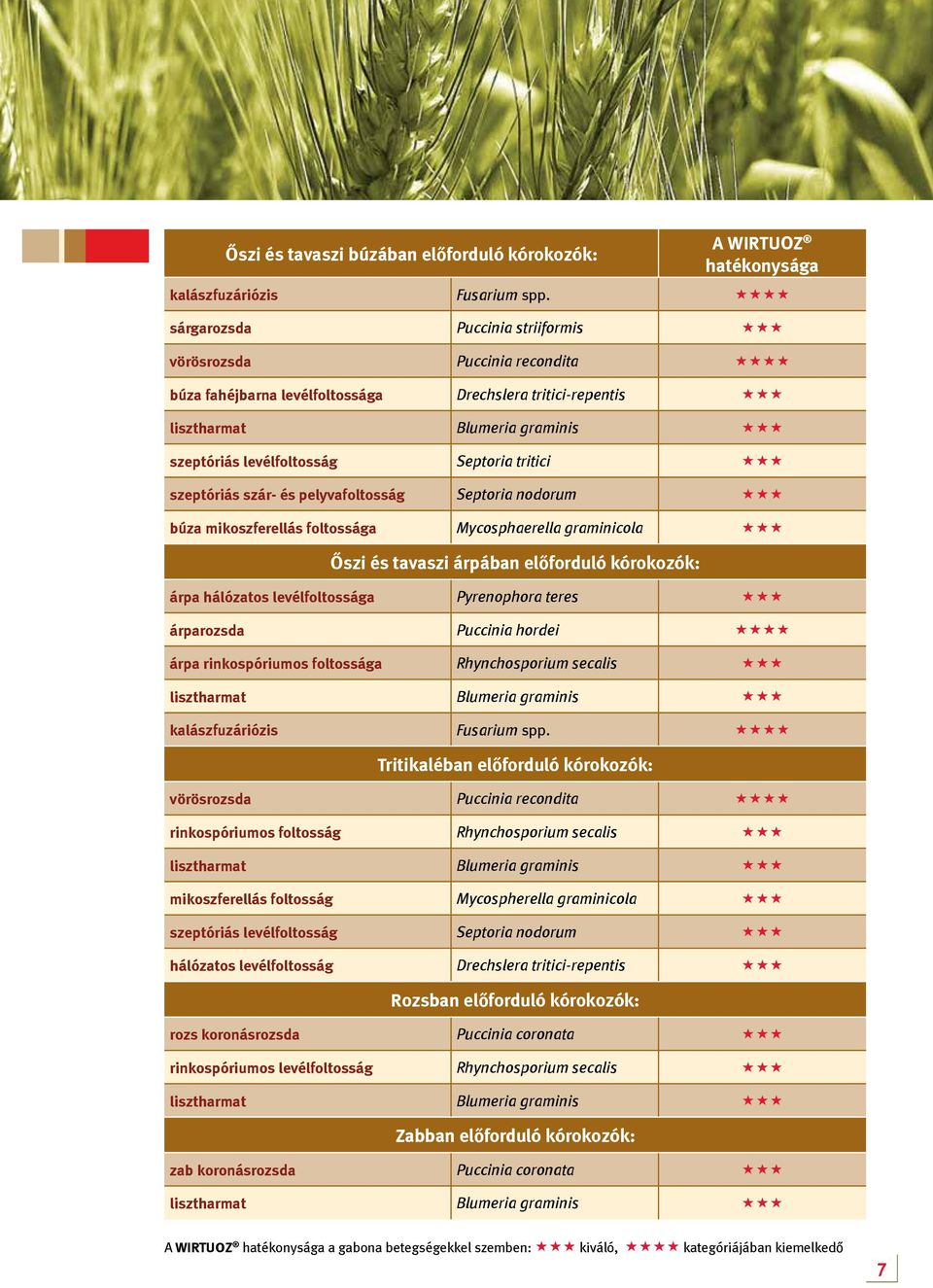 Septoria tritici «««szeptóriás szár- és pelyvafoltosság Septoria nodorum «««búza mikoszferellás foltossága Mycosphaerella graminicola «««Őszi és tavaszi árpában előforduló kórokozók: árpa hálózatos