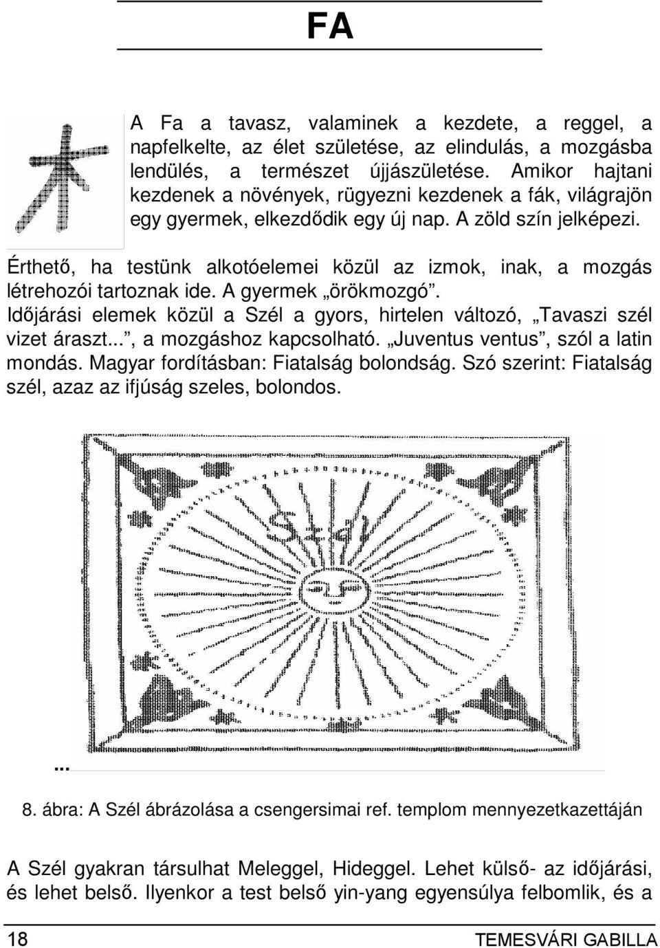 Érthetı, ha testünk alkotóelemei közül az izmok, inak, a mozgás létrehozói tartoznak ide. A gyermek örökmozgó. Idıjárási elemek közül a Szél a gyors, hirtelen változó, Tavaszi szél vizet áraszt.