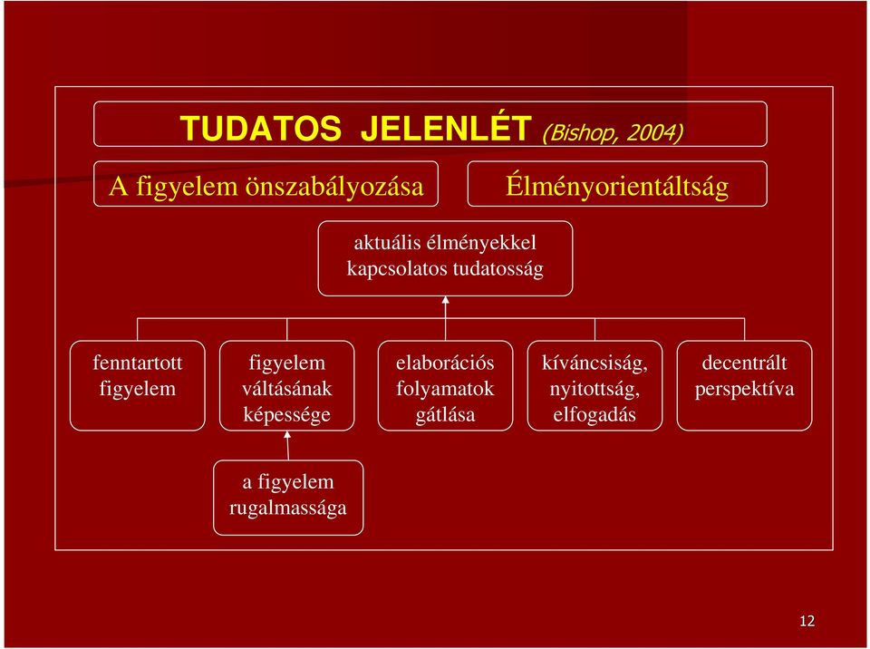 fenntartott figyelem figyelem váltásának képessége elaborációs