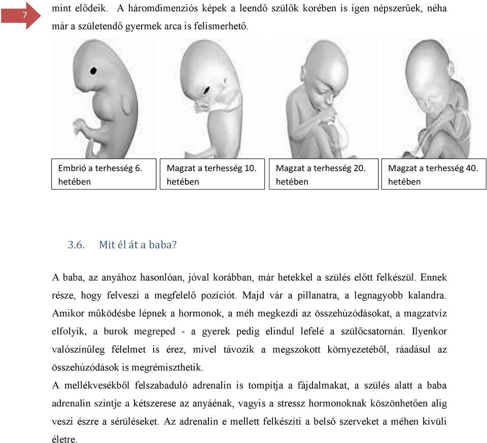 Ennek része, hogy felveszi a megfelelő pozíciót. Majd vár a pillanatra, a legnagyobb kalandra.