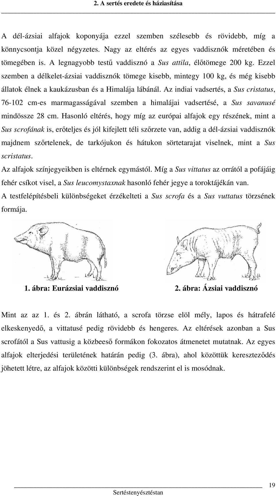 Ezzel szemben a délkelet-ázsiai vaddisznók tömege kisebb, mintegy 100 kg, és még kisebb állatok élnek a kaukázusban és a Himalája lábánál.