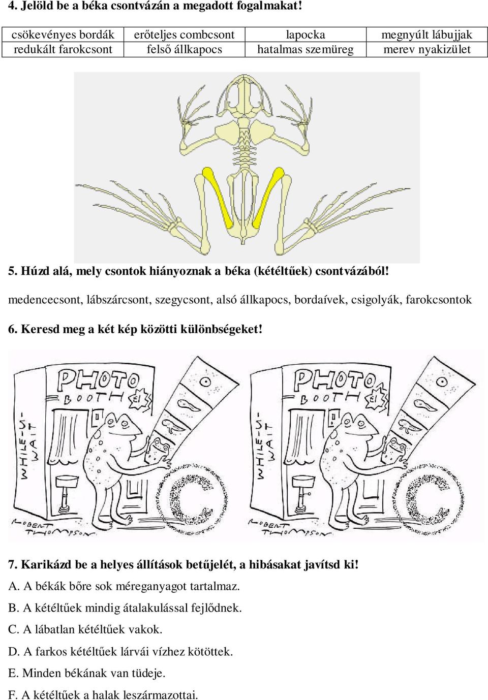 Húzd alá, mely csontok hiányoznak a béka (kétéltűek) csontvázából! medencecsont, lábszárcsont, szegycsont, alsó állkapocs, bordaívek, csigolyák, farokcsontok 6.