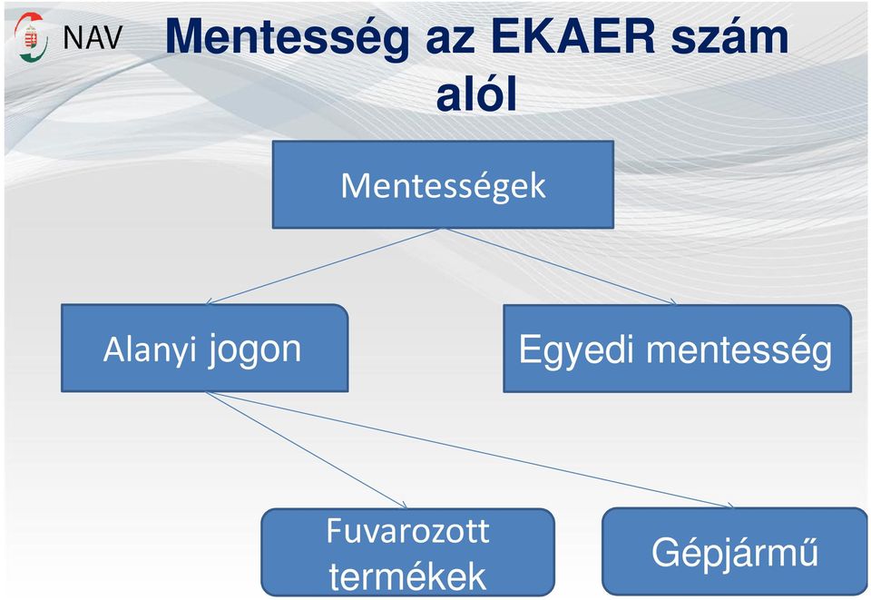 jogon Egyedi mentesség