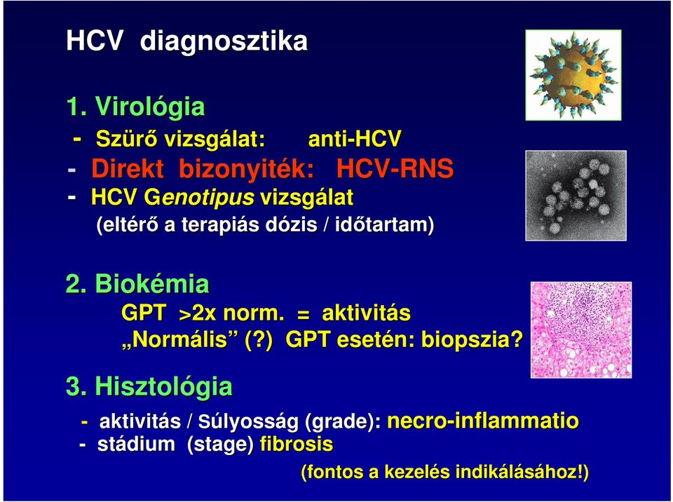 vizsgálat (eltérő a terapiás dózis / időtartam) 2. Biokémia GPT >2x norm.