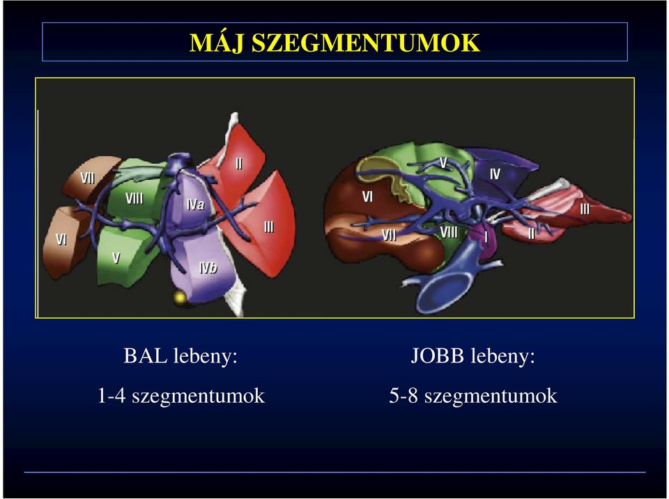 szegmentumok JOBB