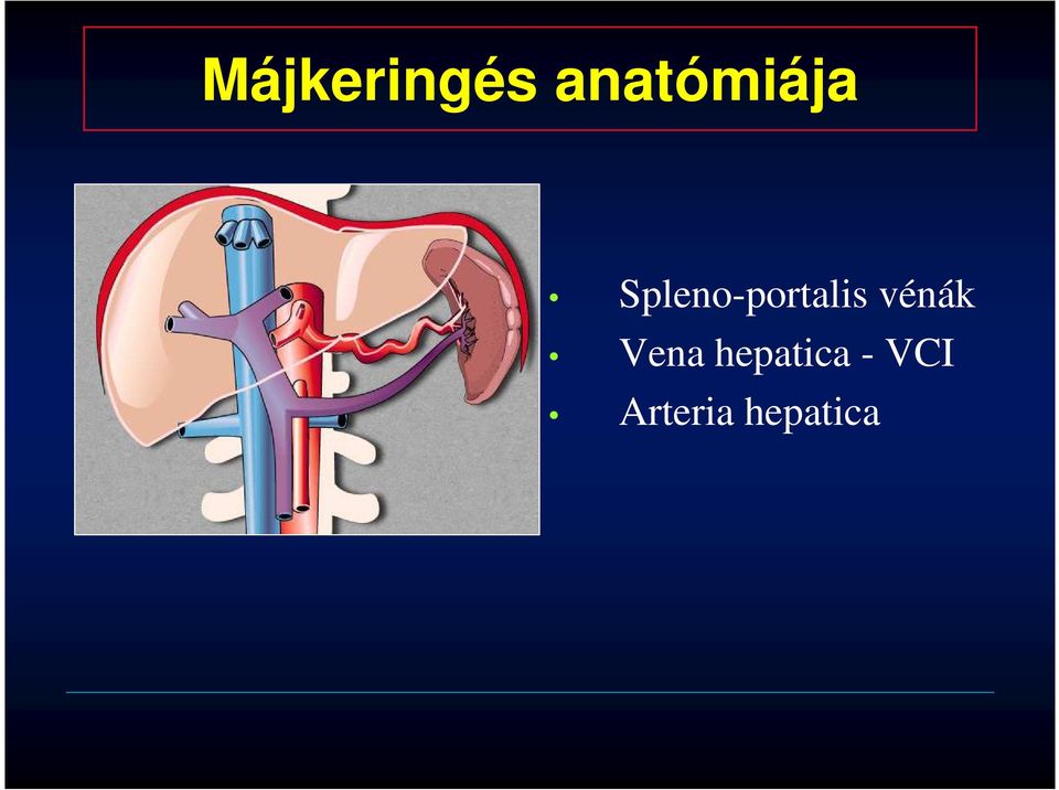 Spleno-portalis