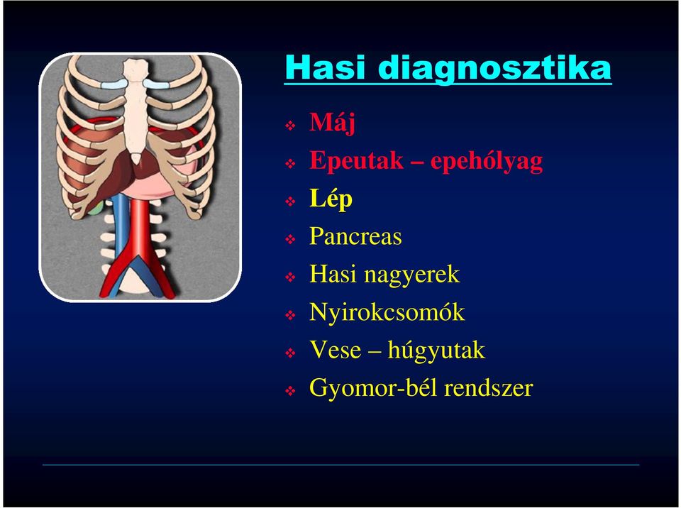 Pancreas Hasi nagyerek