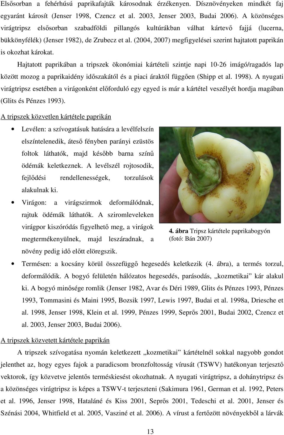 (2004, 2007) megfigyelései szerint hajtatott paprikán is okozhat károkat.