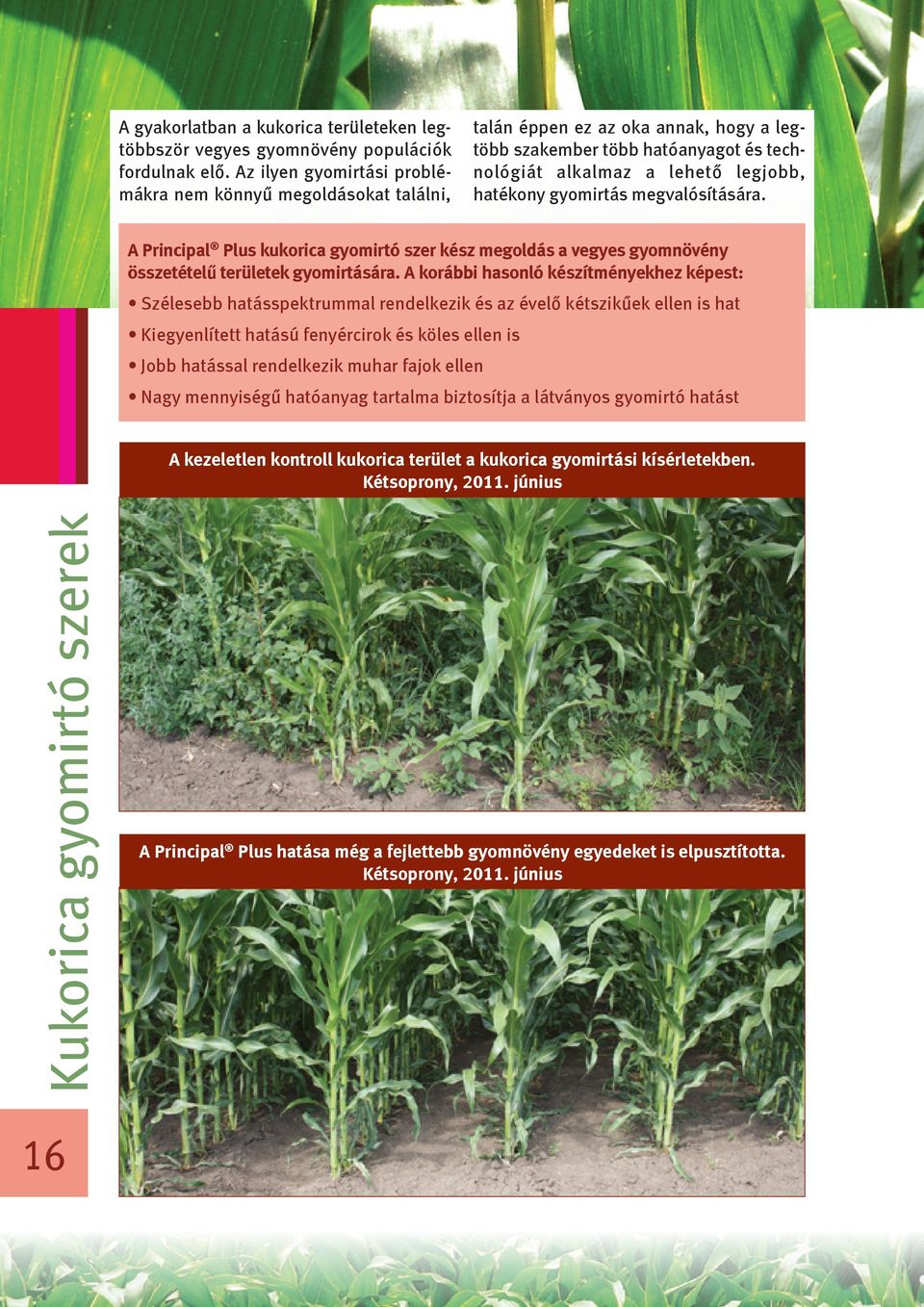 megvalósítására. A Principal Plus kukorica gyomirtó szer kész megoldás a vegyes gyomnövény összetételű területek gyomirtására.