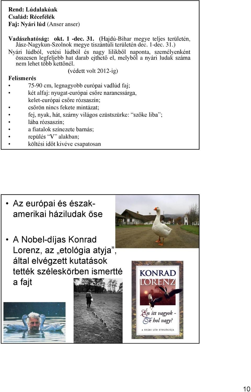 ) Nyári lúdból, vetési lúdból és nagy lilikből naponta, személyenként összesen legfeljebb hat darab ejthető el, melyből a nyári ludak száma nem lehet több kettőnél.